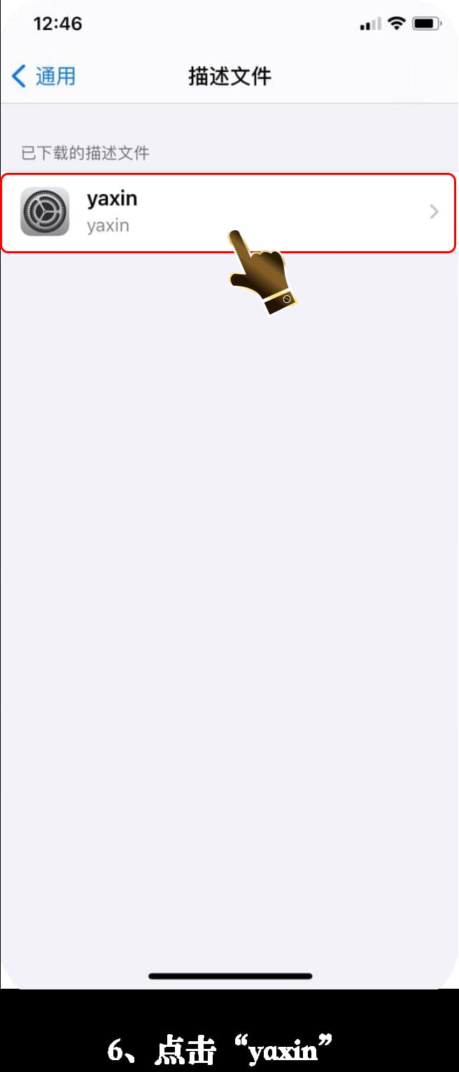 亚星iOS客户端安装步骤可视化引导图6